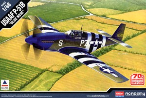 USAAF P-51B `Invasion of Normandy 70th Anniversary 