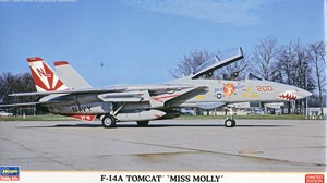 F-14A Tomcat Miss Molly by Hasegawa