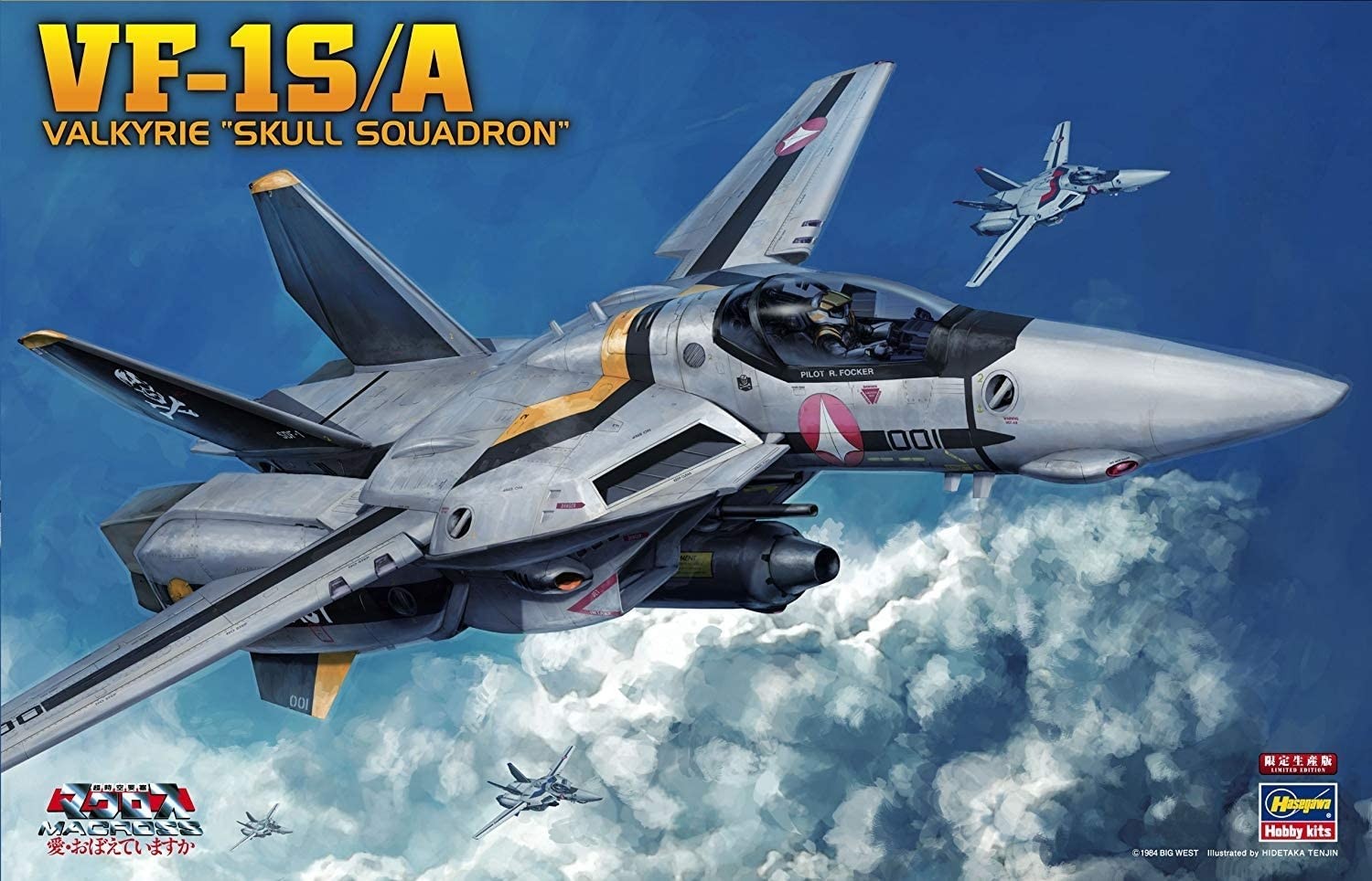 Hasegawa 1/48 Scale VF-1S / A Valkyrie Skull Squadron