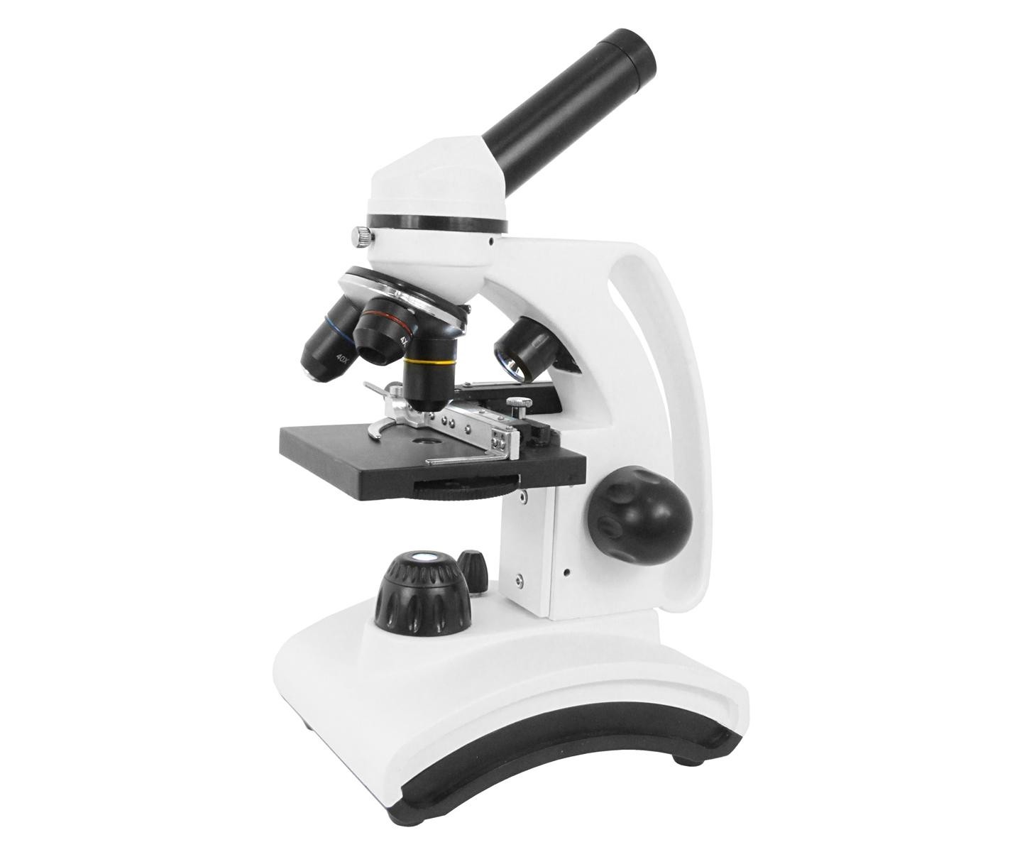 Microscopio TS 