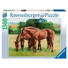Ravesburger Grassy Horses 1500