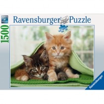 Ravensburger Puzzle Cats
