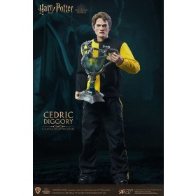 Harry Potter Cedric Diggory 1/6 Action Figure