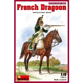 French Dragon Napoleonic wars