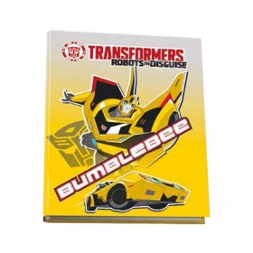 Transformers raccoglitore 