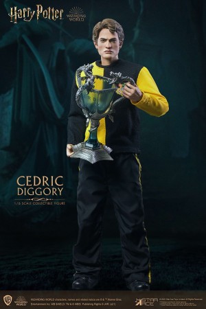 Harry Potter Cedric Diggory 1/6 Action Figure