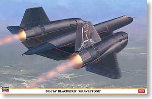 SR-71A Black Bird Gravestone